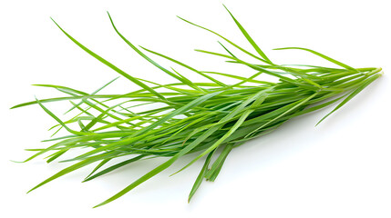 Fototapeta premium Harvesting fresh chives kitchen food ingredient bright environment close-up culinary concept