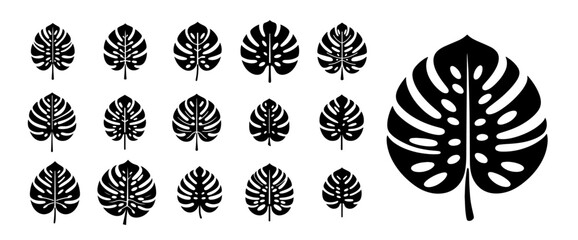 monstera leaf silhouette collection black and white vector set © Aisha Kudorova