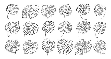 collection of monstera leaves in line art style black and white vector illustration © Aisha Kudorova