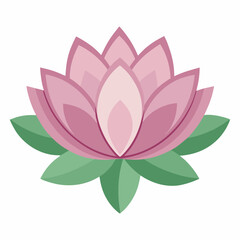 delicate lotus flower with soft  rounded petals