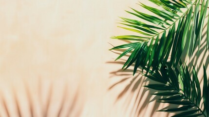 Fototapeta premium Vibrant green palm leaves casting elegant shadows on a pastel-colored background, tropical summer minimal aesthetic for fresh modern designs