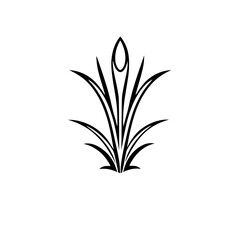 Stylized Black and White Floral Motif: An Elegant Geometric Design Resembling Leaves, on a Clean White Background.