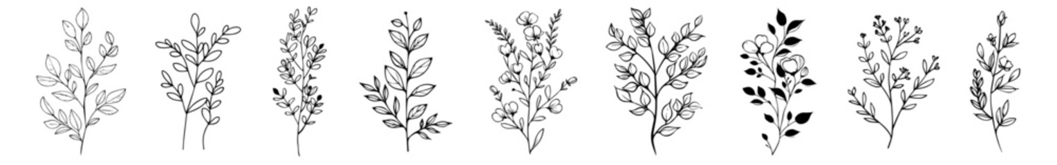 minimal botanical leaves and herbs set silhouette vector black shape