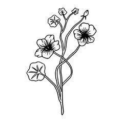 elegant floral line art vector