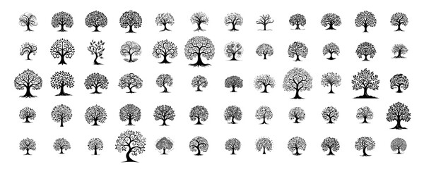 various tree shapes and styles collection silhouette vector black shape