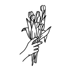 hand holding tulips bouquet vector illustration