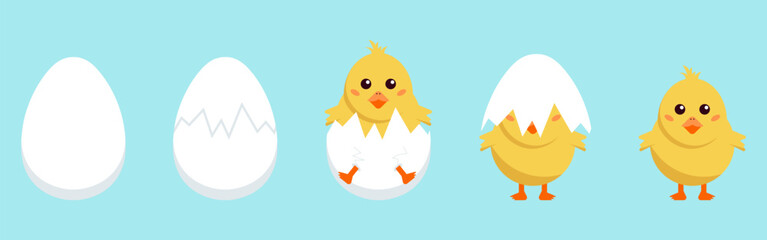 Easter chick character collection. Easter egg and chicken