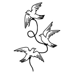 Obraz premium three flying birds with swirling line vector