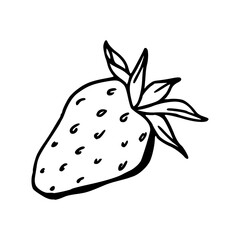 vector illustration strawberry with leaf