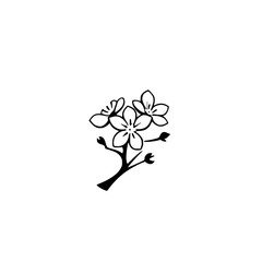 Minimalist Black Ink Cherry Blossom Branch Against White Background, Featuring Delicate Floral Design