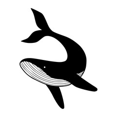 elegant whale vector illustration