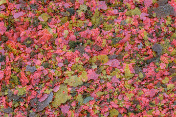 Aquarium fish fodder closeup.Food for aquarium fish in the form of colorful flakes.Top view