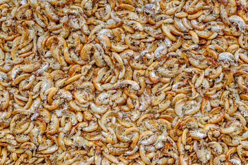 Aquarium fish fodder closeup.Dry food gammarus for aquarium fish feed.Top view