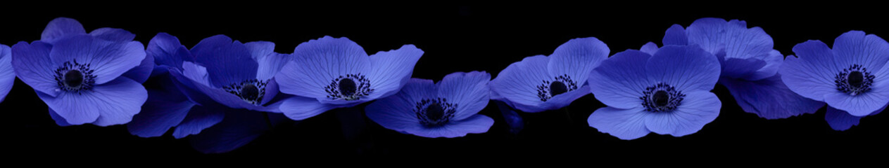 Floral Elegance: A delicate garland of vibrant blue flowers, each meticulously crafted, unfurls against a contrasting backdrop, its petals a testament to nature's beauty and the artistry of design.