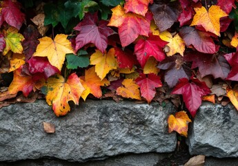 Autumn leaves border