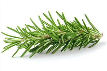 Fototapeta premium A branch of rosemary against a rustic wooden background, with soft sunlight highlighting the herb's fragrant leaves.