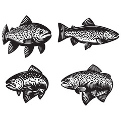 Trout logo, Trout fish vector illustration