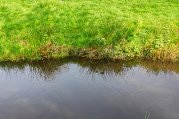 Photo of the canal bank covered with grass.