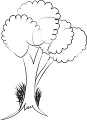 Broccoli hand drawn sketch vector doodle illustration Green vegetables healthy food clipart