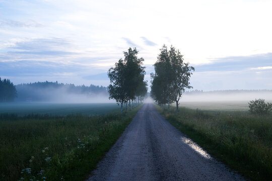 Foggy countryside