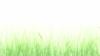Fototapeta premium Serene Watercolor Illustration of Green Grass Blowing in the Wind - Perfect for Nature-Themed Designs and Decor with Empty Space for Customization