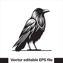 Western Raven vector with hat, logo