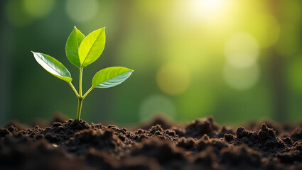 Flat Vector Illustration of a Young Tree Thriving in Fertile Garden Soil: Growth and Natural Beauty