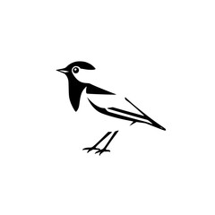 Elegant Minimalist Illustration of a Standing Black and White Bird on a Pure White Background.