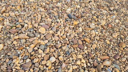 Versatile Medium Rocks for Artistic Backgrounds