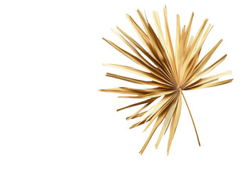 Fototapeta premium Golden palm leaf isolated on a white background, top view