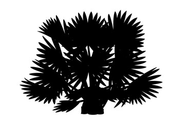 vector black palm tree. clip art isolated on transparent background.