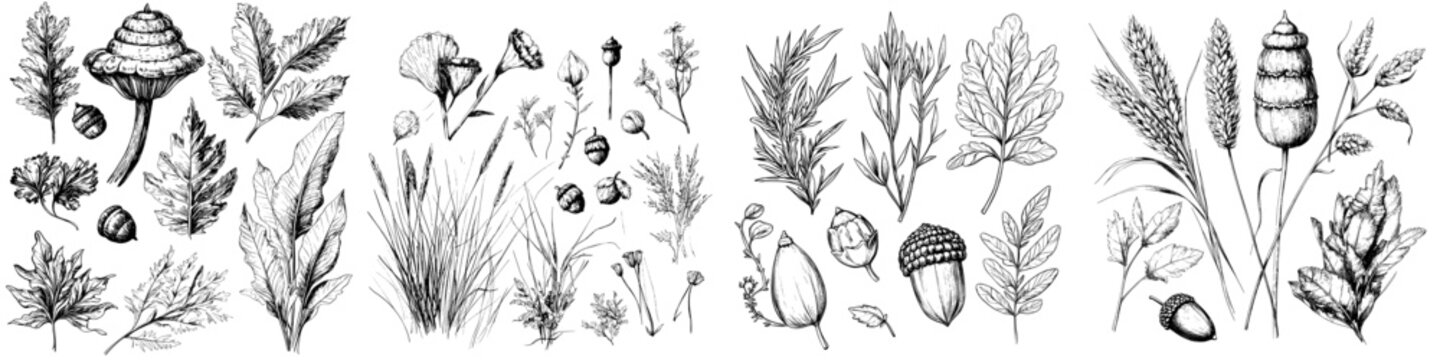 A large assortment of forest undergrowth components, including grass, moss, leaves, acorns, clover, and fir needles, is presented in a retro sketch modern style, with all elements isolated