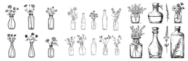 A large assortment of diverse vases, bottles, and jars containing flowers and plants, presented in a hand-drawn modern illustration style, as part of a vintage botanical collection, featuring
