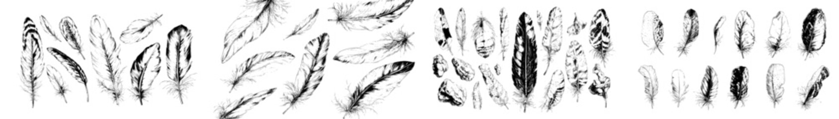 A hand drawn feather is accompanied by an engraved quill tattoo and an ink writing pen in a vintage drawing featuring old bird feathering silhouettes, including a goose or swan with a weightless