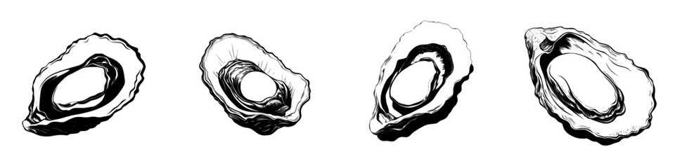 A hand-drawn sketch of a seashell mollusk containing a pearl, depicted in a modern illustration style, isolated on a white background