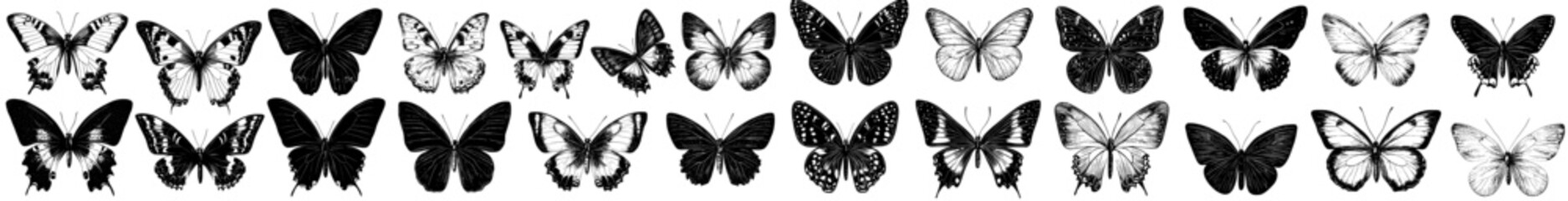 A collection of vintage-style butterflies and moths is presented in a set of outlined sketches featuring various flying insect species, with detailed retro line drawings and engraved hand-drawn © Andrei