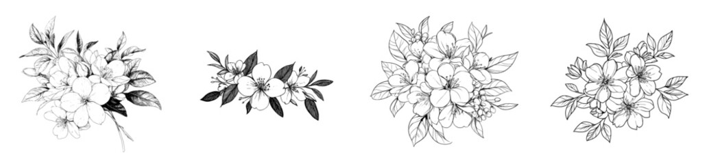 Sketch of an outline of a primrose flower for a coloring book, hand-drawn in a modern style, artistically engraved ink art blossom, primula flowers isolated on a white background, clip art, featuring