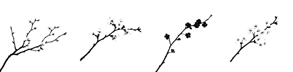 The phrase 'Floral Vine Artistry Monochrome Emblem Vineyard Elegance Black Wine Icon' is a descriptive title