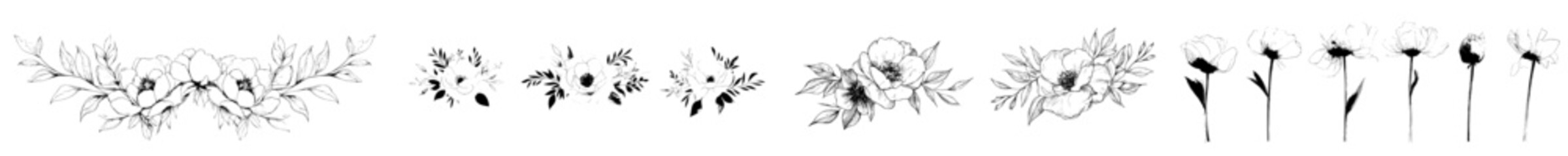Collection of sketches of peonies flowers. Hand-drawn minimal flowers in a line art style. Featuring trendy botanical elements of plants, branches, and leaves. Modern illustration