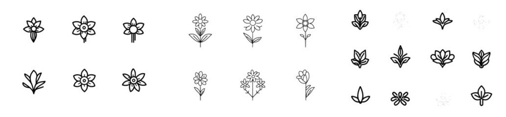 Decorative Edelweiss Rare Mountain Flower or Wildflower Illustration Clipart - Outline, Silhouette & Color