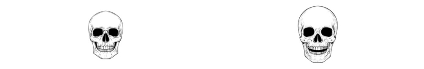 3. Modern line art of a continuous line human skull, centered on a white background