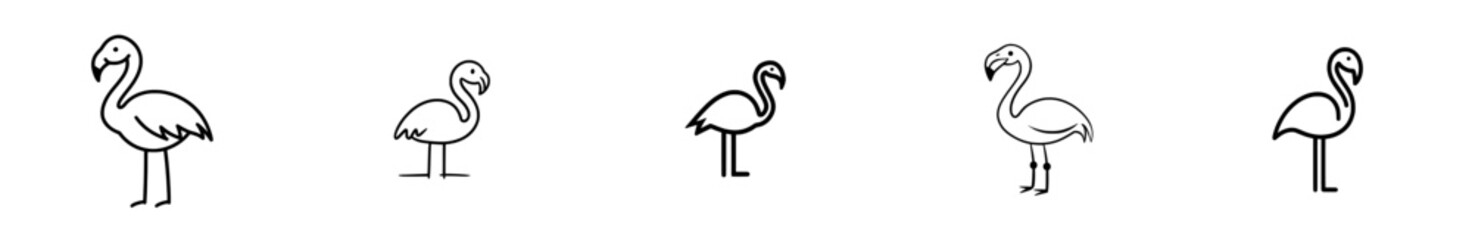 flamingo line art, modern tropical bird illustration