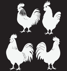 Set of chicken White chicken black background