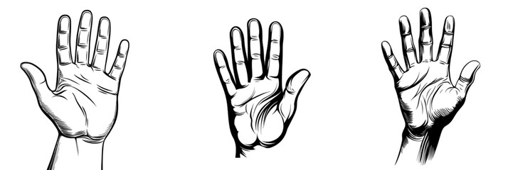 This modern illustration depicts a hand showing the number four in a black and white cartoon-like design