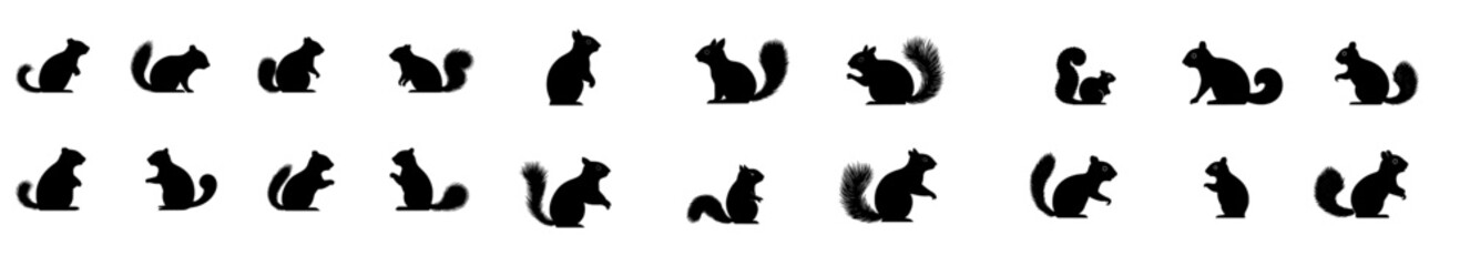 A modern squirrel silhouette illustrated in various styles using black color