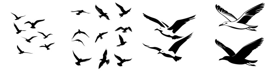 Flying birds silhouette. Modern illustration of birds in flight