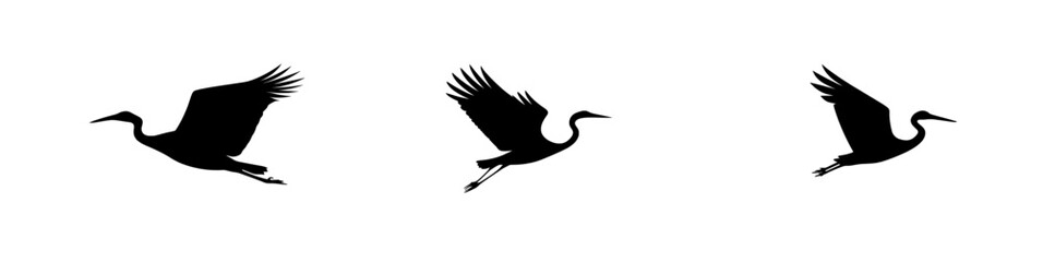 1. A modern illustration of a black silhouette of a Flying Crane bird on a white background