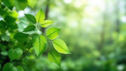 Obraz premium Sun-Kissed Greenery – A Perfect Nature Scene