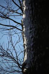 hiver 2024 Normandie