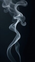 Obraz premium Ethereal wisps of grey smoke swirl on a deep black backdrop , vapor, texture